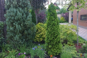 landscape (1)